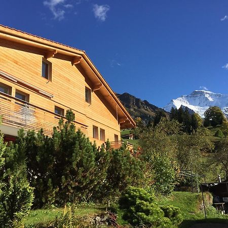 Chalet Viola Βένγκεν Εξωτερικό φωτογραφία