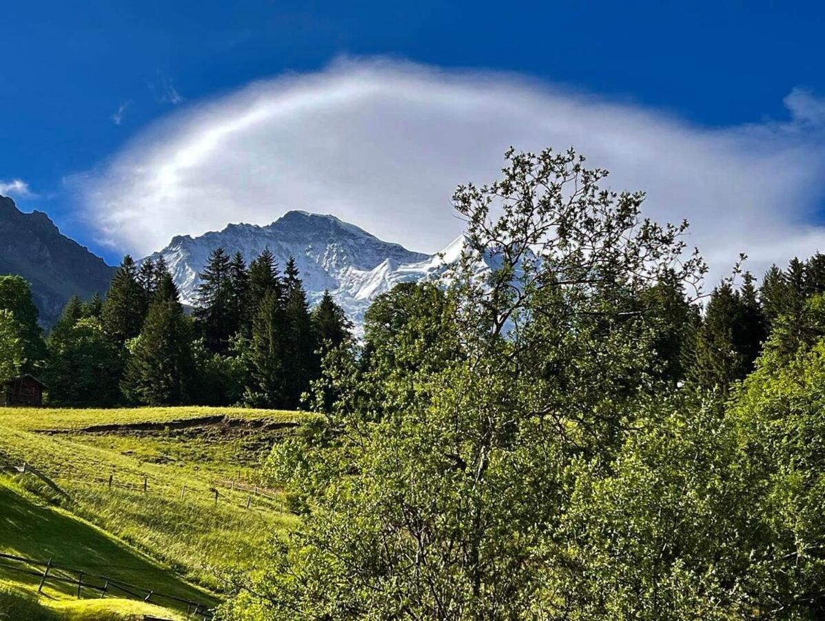 Chalet Viola Διαμέρισμα Βένγκεν Εξωτερικό φωτογραφία