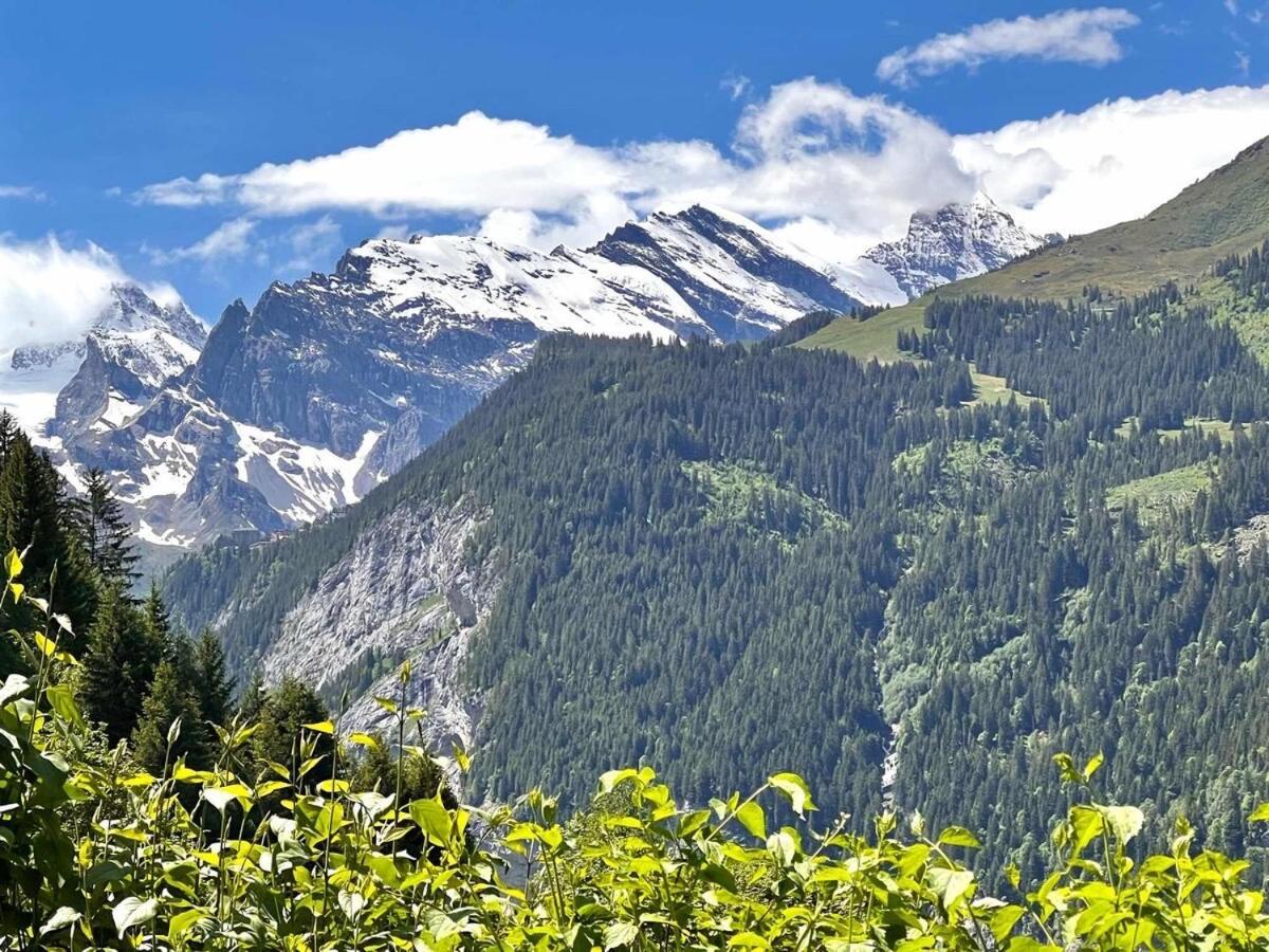 Chalet Viola Βένγκεν Εξωτερικό φωτογραφία