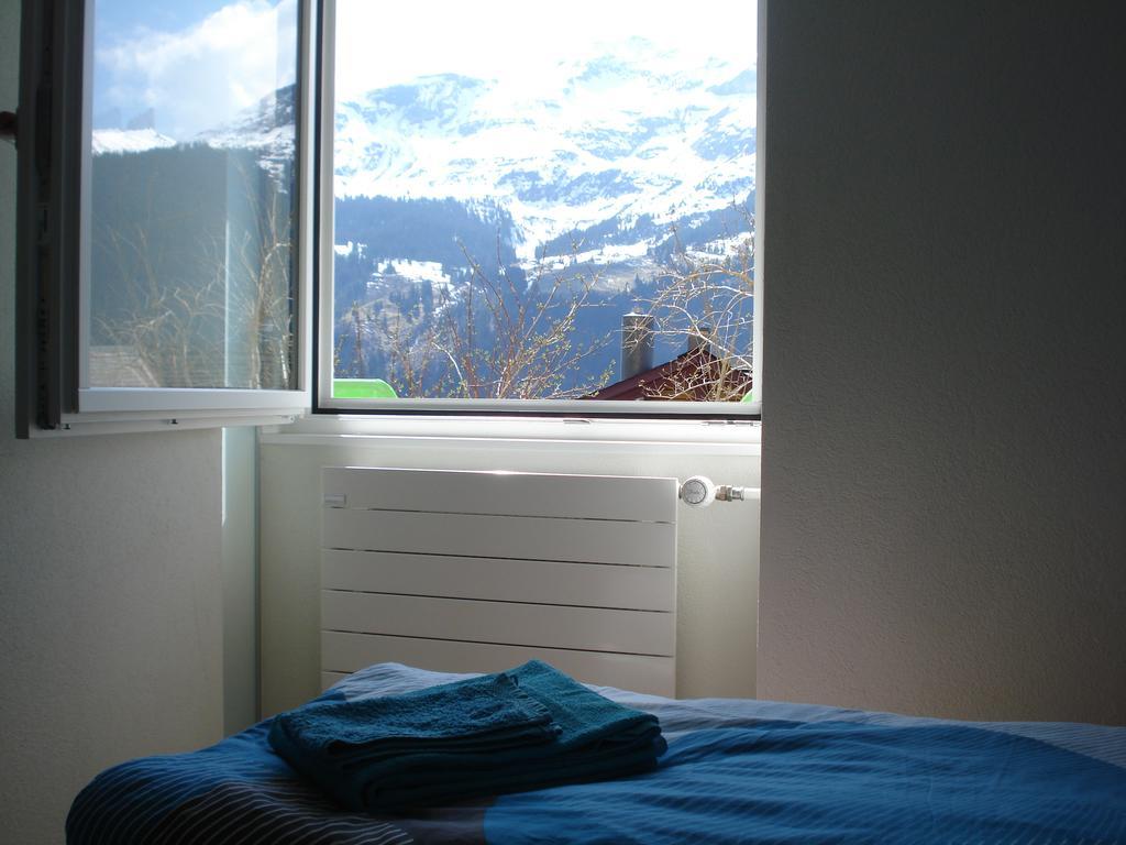 Chalet Viola Βένγκεν Εξωτερικό φωτογραφία