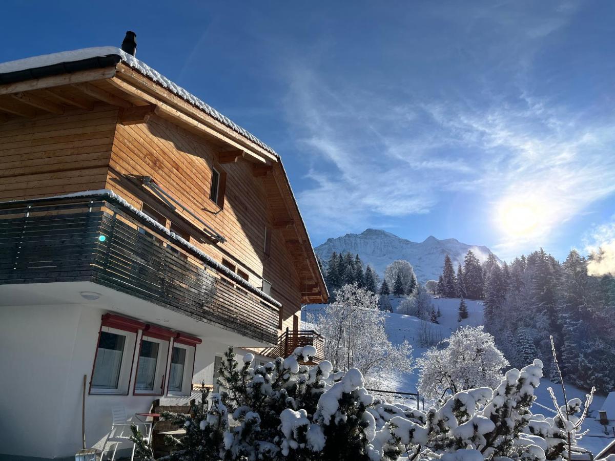 Chalet Viola Βένγκεν Εξωτερικό φωτογραφία