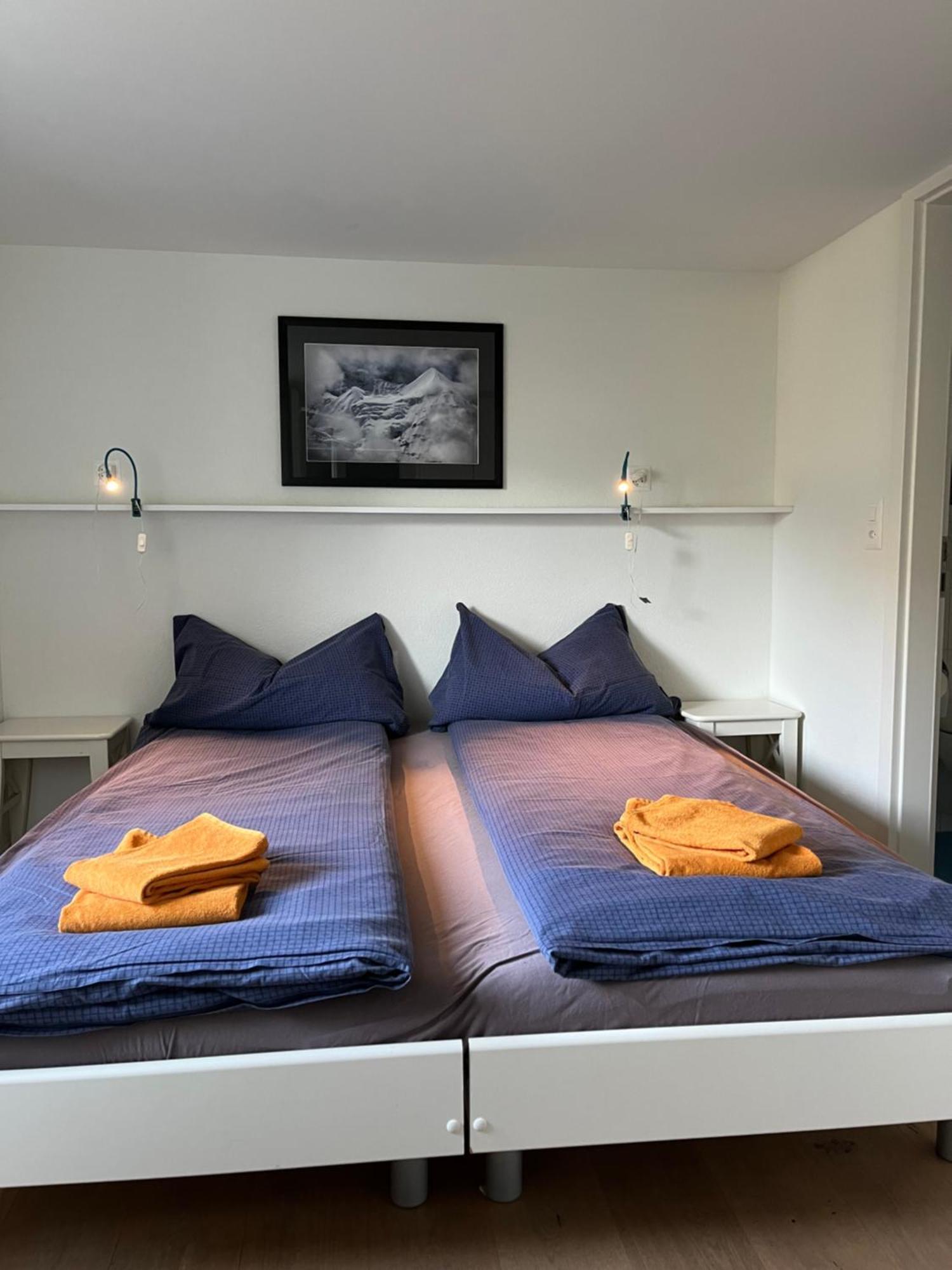 Chalet Viola Βένγκεν Εξωτερικό φωτογραφία