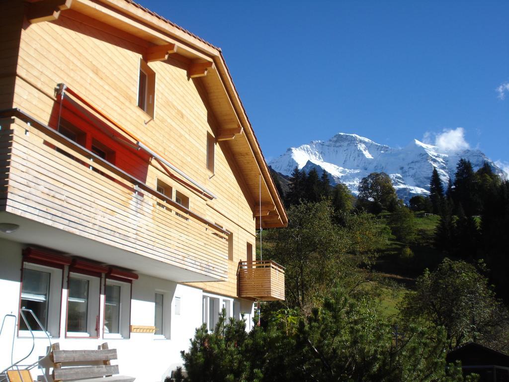 Chalet Viola Βένγκεν Εξωτερικό φωτογραφία